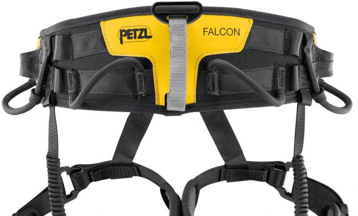 Petzl Falcon Ascent