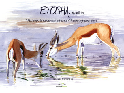 Etosha, Namibia – Cuaderno de Campo