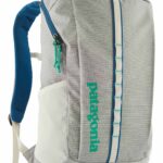 Patagonia Black Hole 25l
